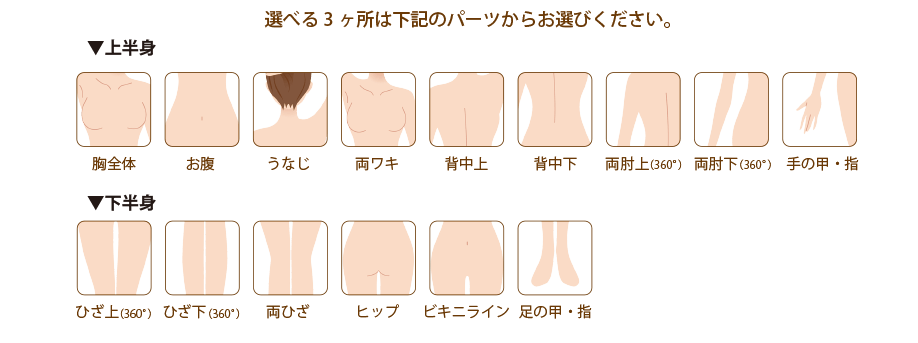 選べる3ヶ所は下記のパーツからお選びください